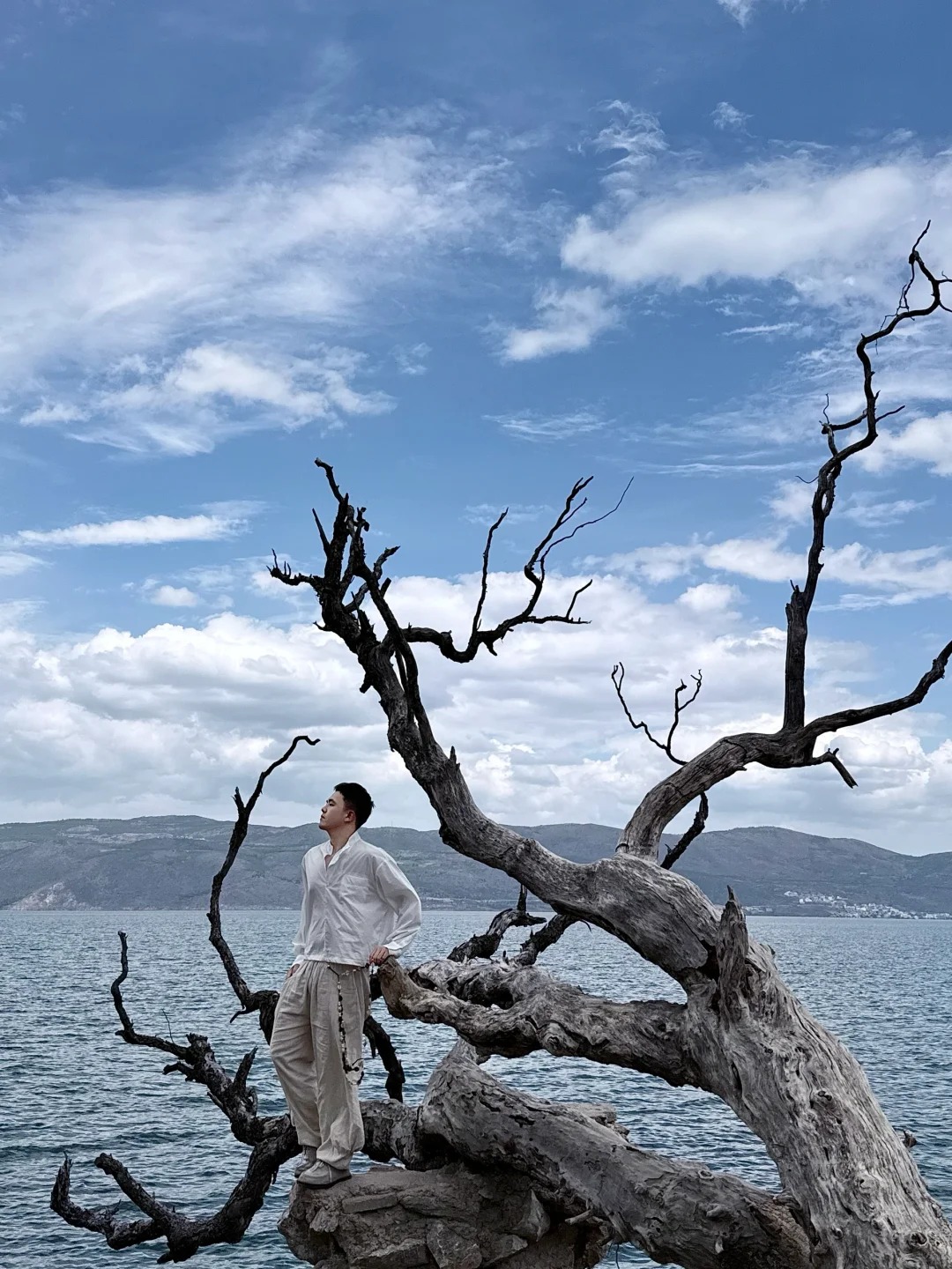 为了这9️⃣颗树！！我愿意再去一次云南！！！_3_比先生要早睡_云南-来自52tours 我爱旅游网